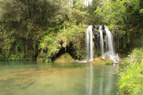 gorg de la plana|Excursiones en la Garrotxa: Gorg de la Plana y Gorg。